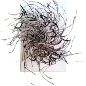 Cheveux d'O (2010)