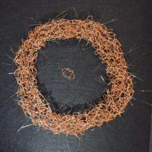 Couronne d'épines