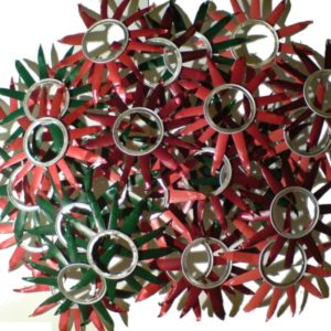 Dahlias