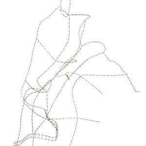 Pélerin
