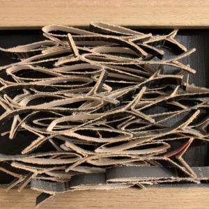 Sardines