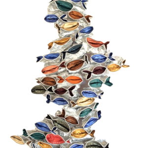 Poissons_sans_fond