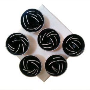 Tulipes noires